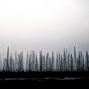 Il vento ci risveglierà domani