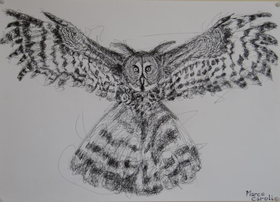 Da " manuale di zoologia personale": Bubo saltator