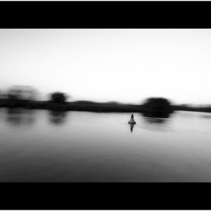 Isle of Love 7 Isle of Love 7