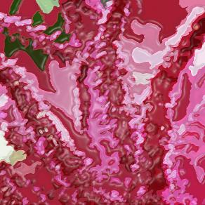 In un sogno amaranto !!!