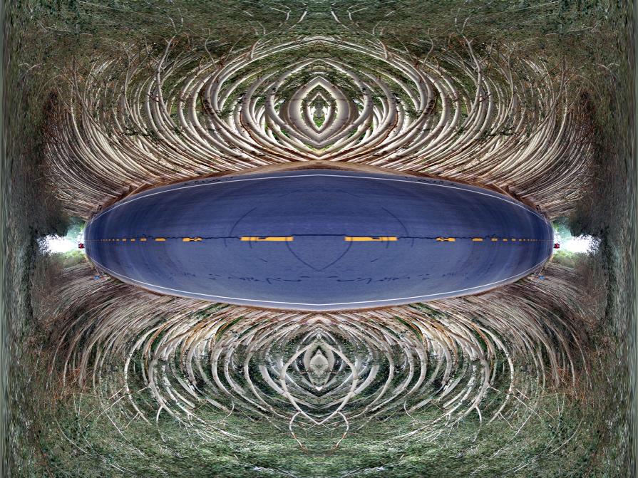 A Reverse of Time and Timeless Loop