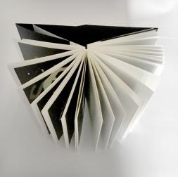 Letizia Ardillo e Yarona Pinhas -VISIONI-XI FESTIVAL INTERNAZIONALE DEL LIBRO D'ARTISTA-BARCELLONA Letizia Ardillo e Yarona Pinhas -VISIONI-XI FESTIVAL INTERNAZIONALE DEL LIBRO D'ARTISTA-BARCELLONA