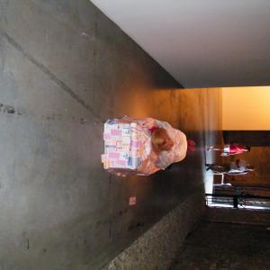 55° Biennale Internazionale d'Arte di Venezia.“ La Sibilla magica . Arte - La Mia Seconda Pelle”