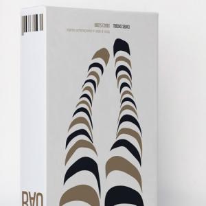 BAU. Contenitore di cultura contemporanea 2004-2020