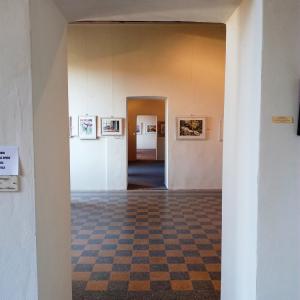 EFFETTO ACQUA, ACQUERELLI E SCULTURE A PALAZZO DUCALE