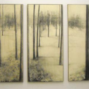 MARIKA VICARI Il tempo degli alberi