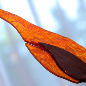 Natura:Luci e Ombre a Modena.