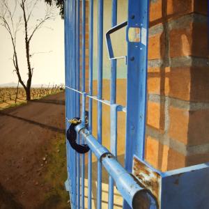 Premio Arte Cairo Mondadori