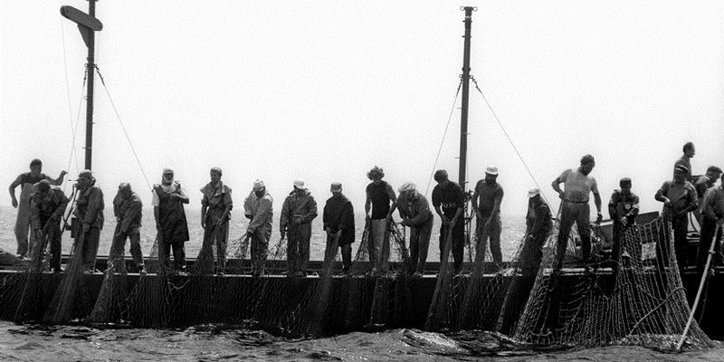 Stefano Fogato, Tunnina frisca, i tonnaroti di Favignana