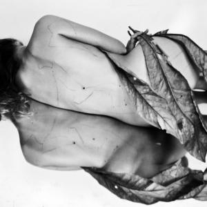 Arte/Cultura/Economia | VII Arte a Castello 2013