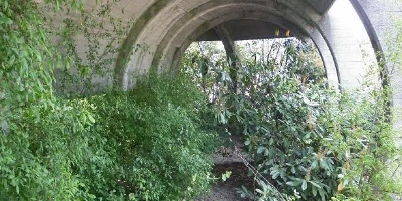 Episodio 2  DIVERTIMENTIFICIO EMILIA:  DISCOTECHE FANTASMA