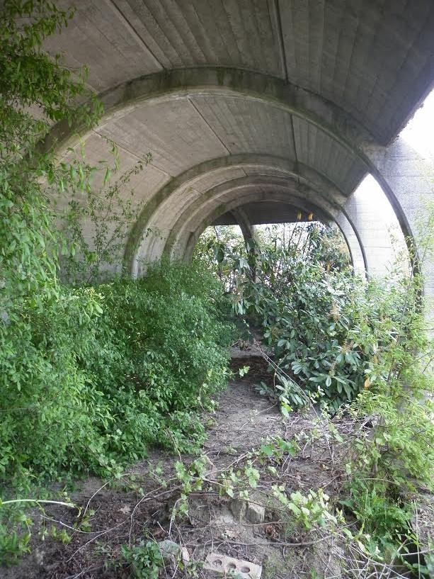 Episodio 2  DIVERTIMENTIFICIO EMILIA:  DISCOTECHE FANTASMA