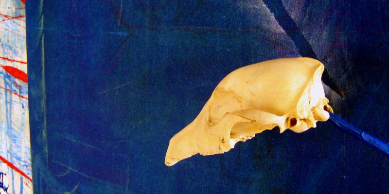 manifesto della retroAvanguardia