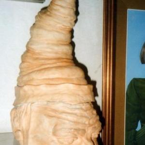 MOSTRE ED EVENTI TELEVISIVI