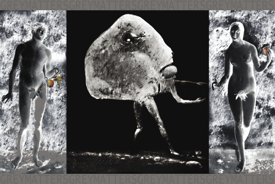 Grey Matters (A and E)