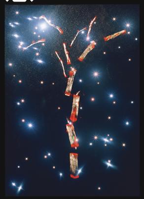 Castagno della Salvezza