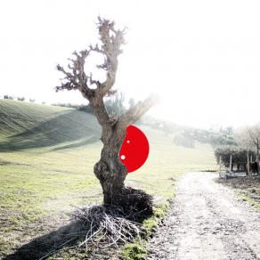 THE RED SPOT Death in a Midspring Afternoon