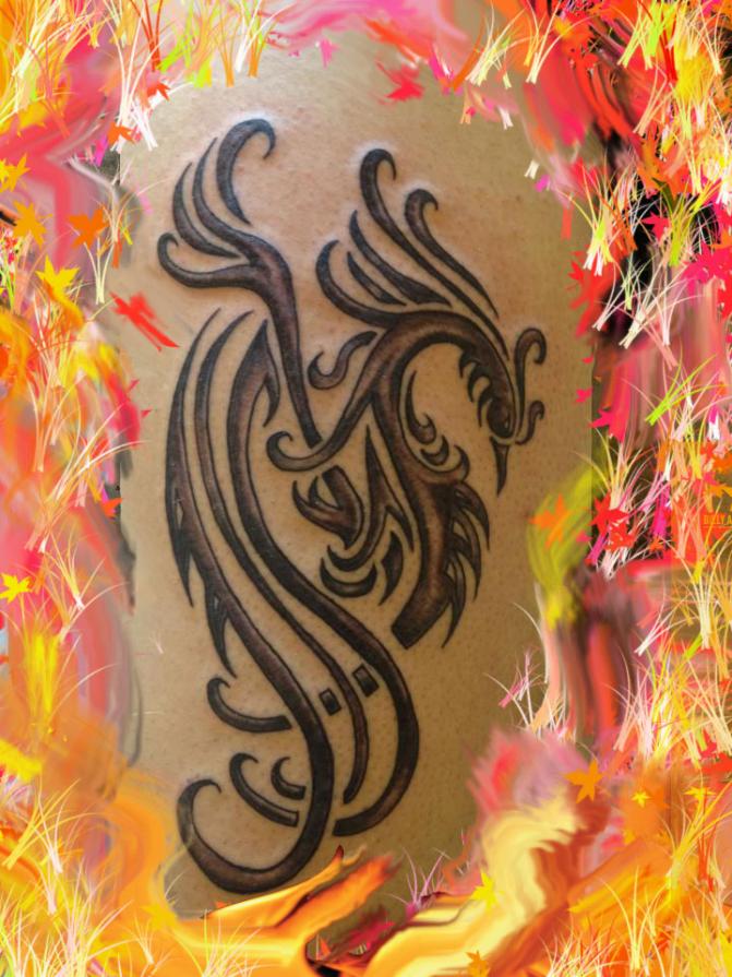 RINASCITA DALLE CENERI