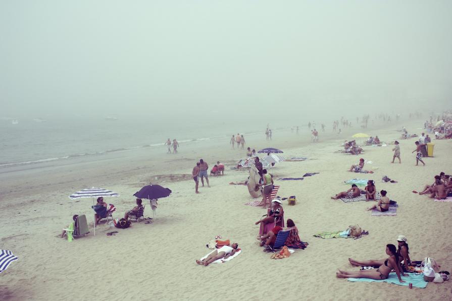 Dream Biocentrism #1 Dream Biocentrism #1