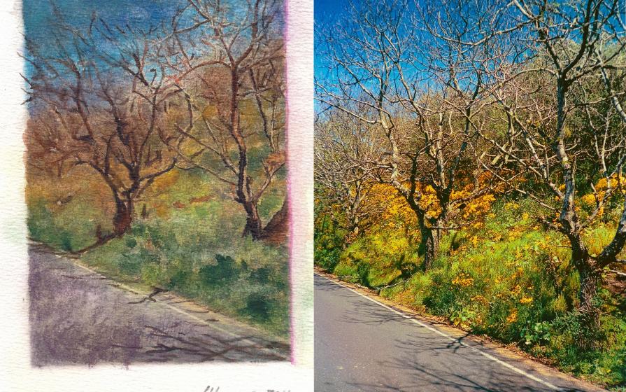 Acquarello & Fotografia