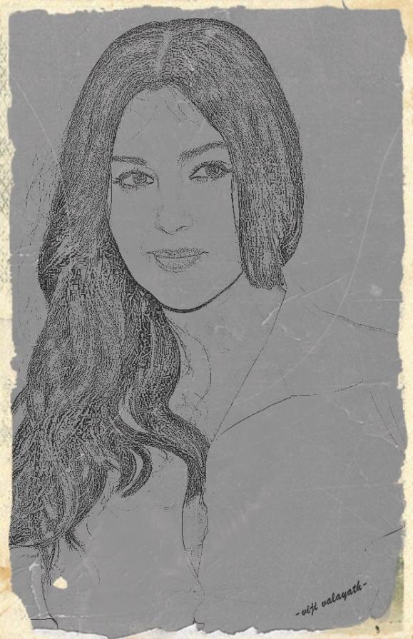 Beauty (An art work of Malena - Monica Bellucci)