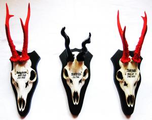 Michela Pedron - Lebenunwertes Leben