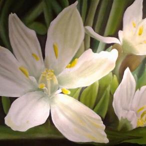 Nei giardini che nessuno sa