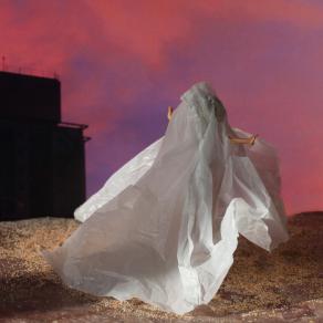 Future's Bride Future's Bride