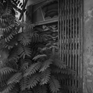 Senza titolo dalla serie 