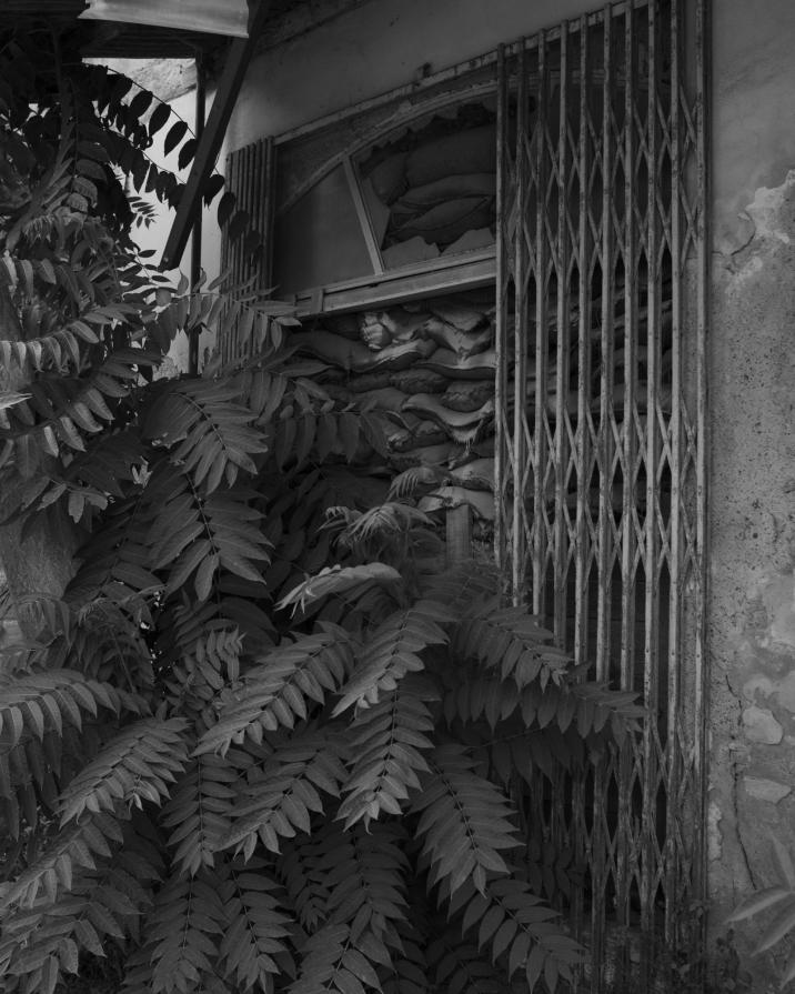 Senza titolo dalla serie 