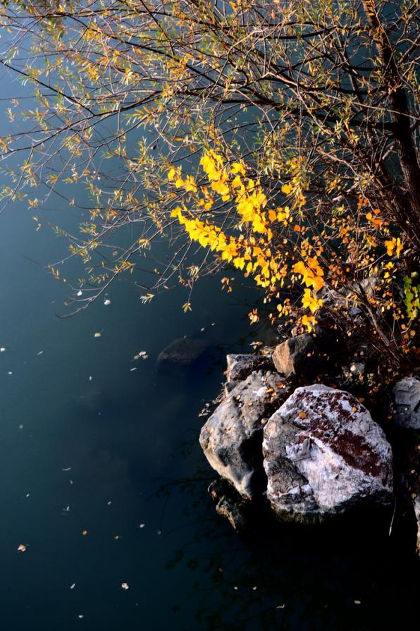 Apparente statico fluire  - Static liquid flowing 