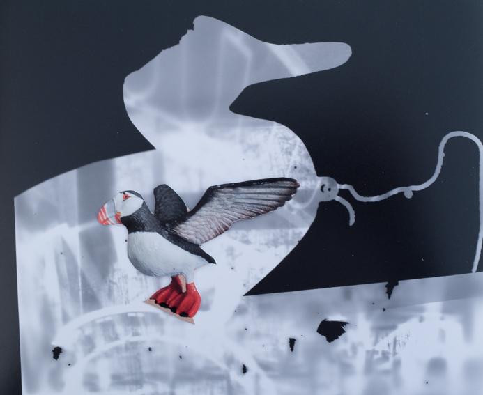 Habitat_project_backstage