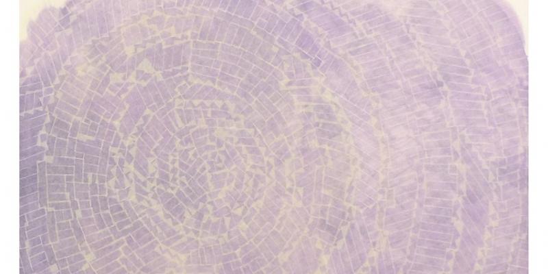 Claudio Gaddini, Lucide trasparenze