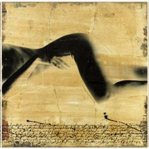 Hyena, Solo Show. 2001 - 2016, quindici anni di opere