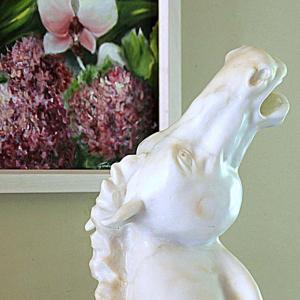 Natura:Luci e Ombre a Modena.