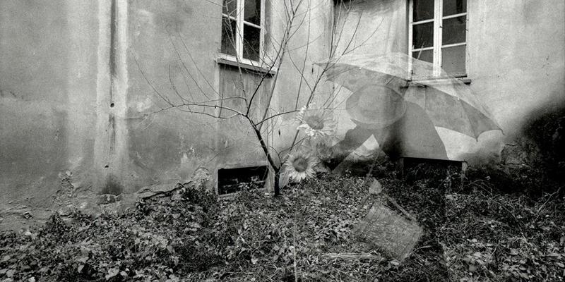 Flos, Floris - La declinazione di un fiore