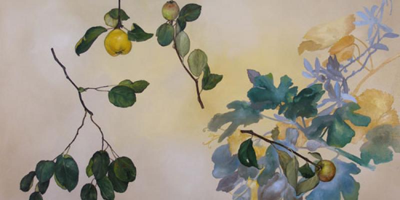 Karen Yurkovich: Cultural Biodiversity Projects