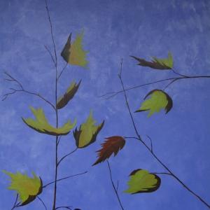 LUCI, COLORI ED EMOZIONI