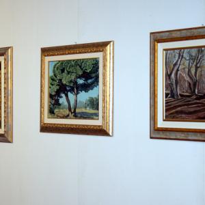 ww.associazioneolimpiamorata.jimdo.com .