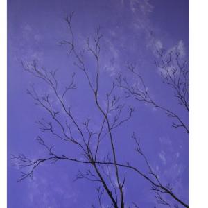 LUCI, COLORI ED EMOZIONI