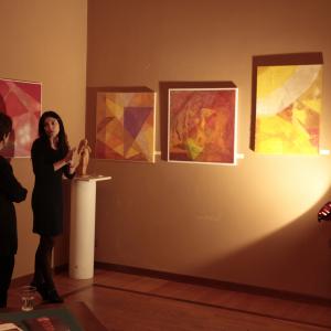 MOSTRA ALLA "MERIDIANA" DI MODENA ,22 DICEMBRE 2013-12 GENNAIO 2014.