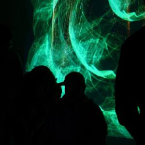 LANIAKEA mostra di Leonardoworx LANIAKEA mostra di Leonardoworx