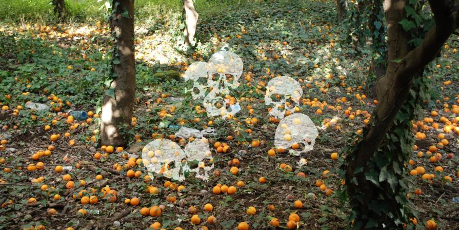 La crèche #3 La crèche #3