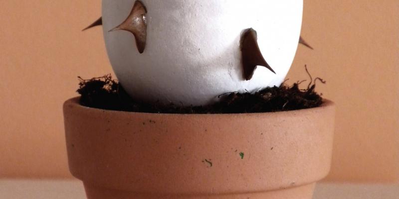 Germoglio d'artista Germoglio d'artista