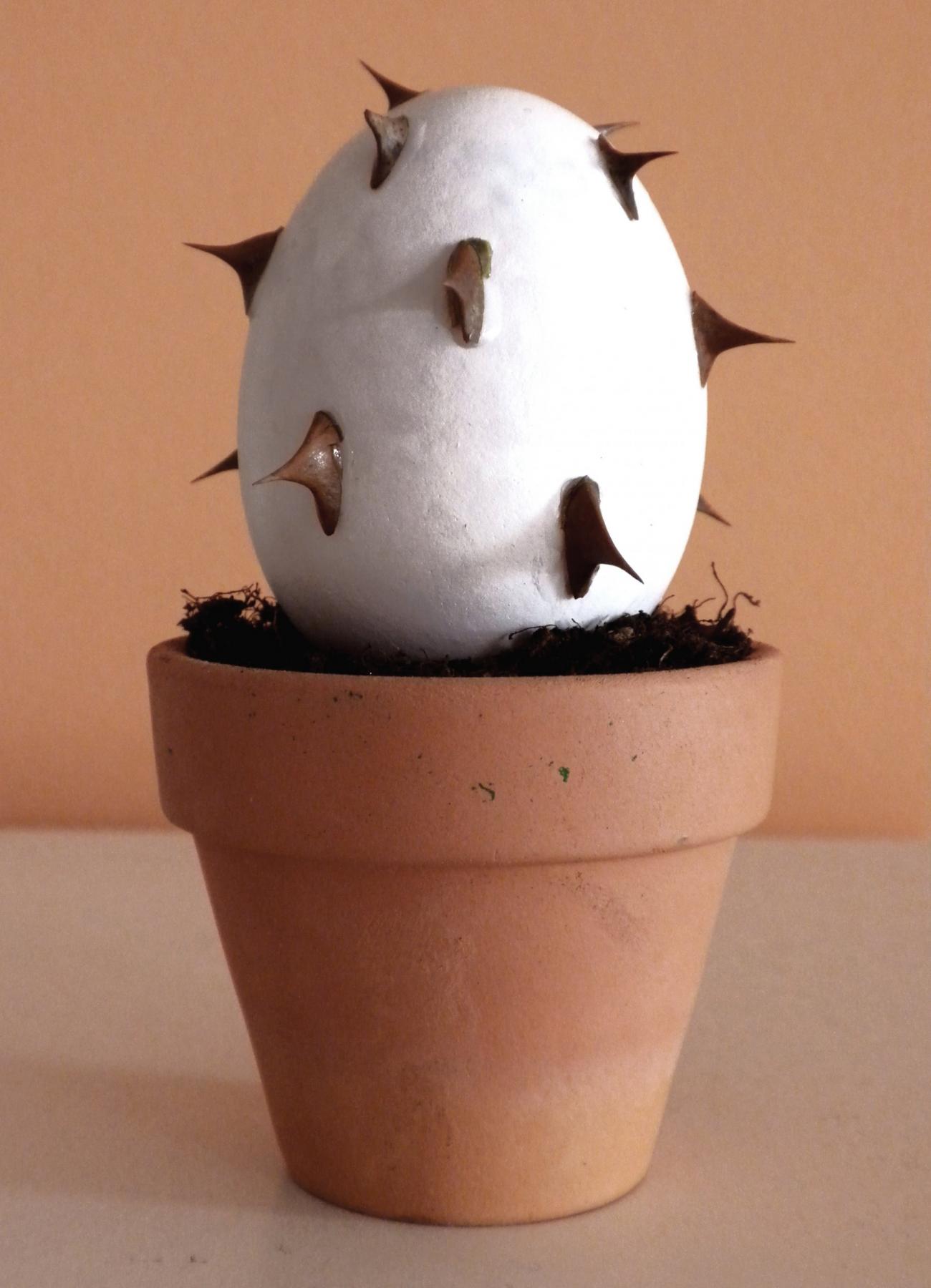 Germoglio d'artista Germoglio d'artista