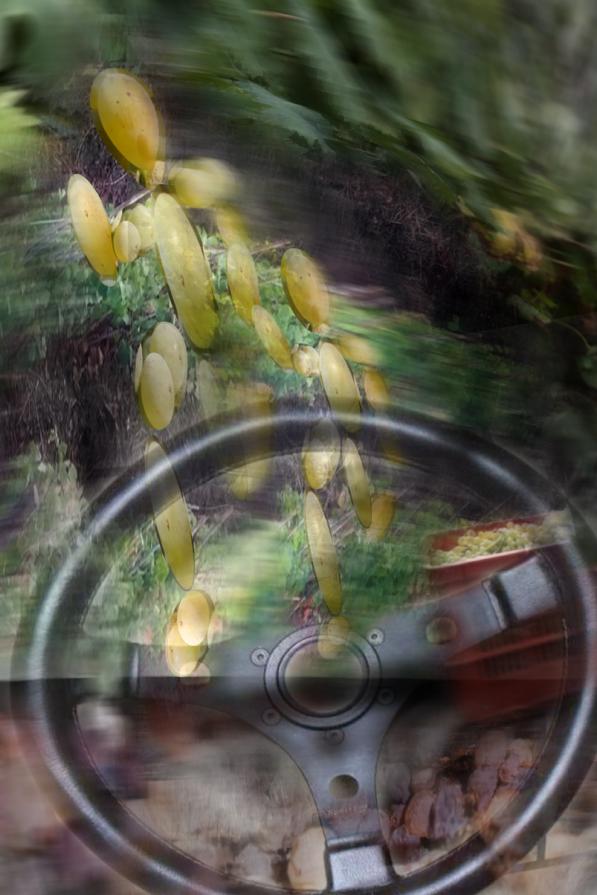 l'uva passa . ???????