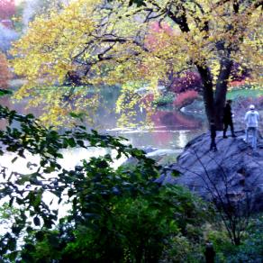 CENTRAL PARK 
