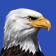 eagle