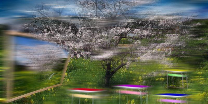 una scuola sotto il mandorlo