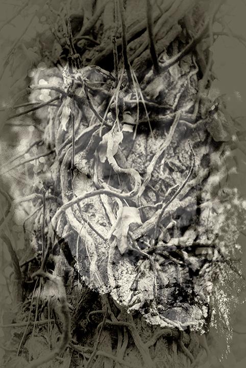  la fusione delle maschere